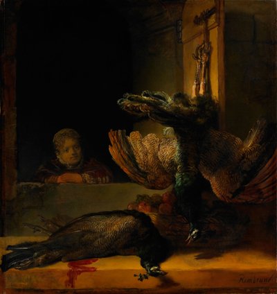 Zátiší se dvěma pávy a dívkou, asi 1639 od Rembrandt van Rijn