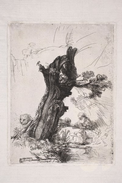 Svatý Jeroným píše u kmene vrby od Rembrandt van Rijn
