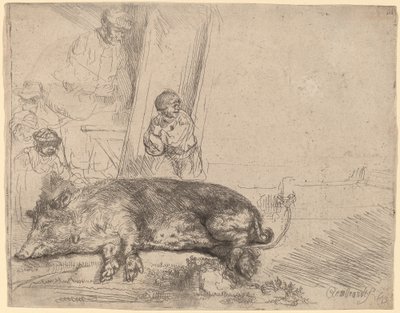 Prase od Rembrandt van Rijn