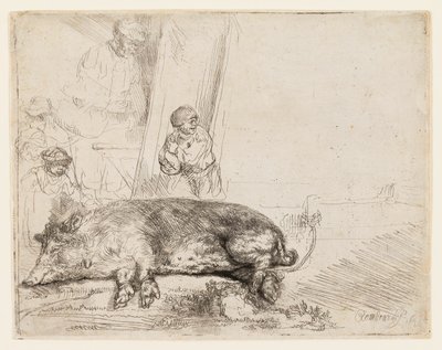 Prase od Rembrandt van Rijn
