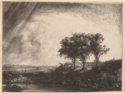Tři stromy od Rembrandt van Rijn