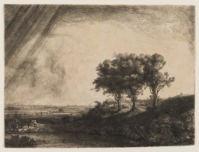 Tři stromy od Rembrandt van Rijn