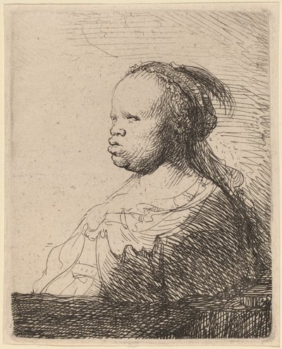 Bílá Negress od Rembrandt van Rijn