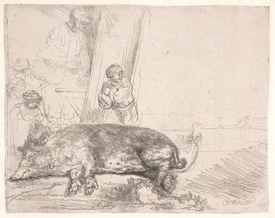 Prase od Rembrandt van Rijn