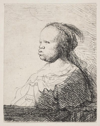 Bílá černá od Rembrandt van Rijn