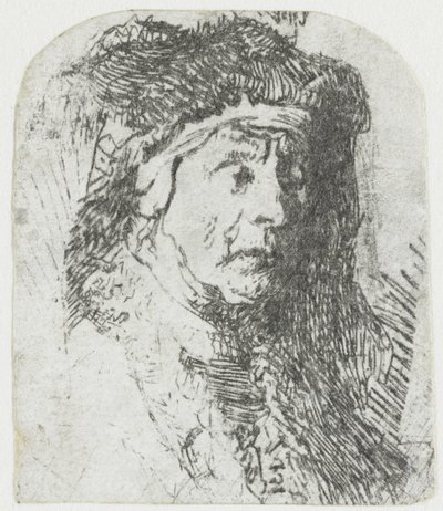 Žena v plášti zdobeném kožešinou Busta staré ženy v chlupatém plášti a těžké pokrývce hlavy od Rembrandt van Rijn