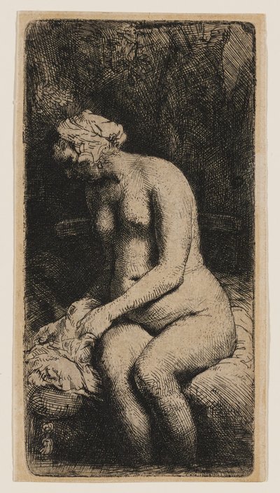 Žena s nohama v potoku od Rembrandt van Rijn