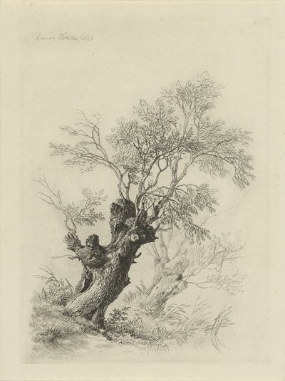 Vrba od Remigius Adrianus Haanen