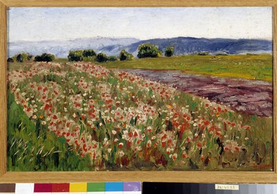 Pole vlčích máků (malba) od Rene Auguste Seyssaud