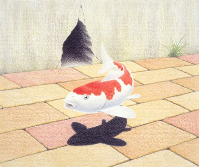 Koi od Rene Boin