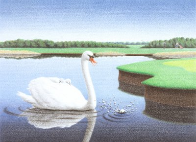Splash od Rene Boin