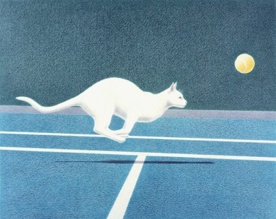 Tenis od Rene Boin