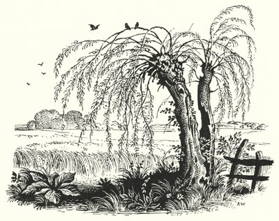 Hans Christian Andersen: Pohanka (litho) od Rex (after) Whistler