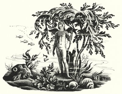Hans Christian Andersen: Malá mořská víla (litho) od Rex (after) Whistler