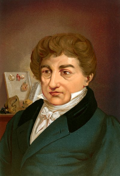 Georges cuvier od Ricardo Marti