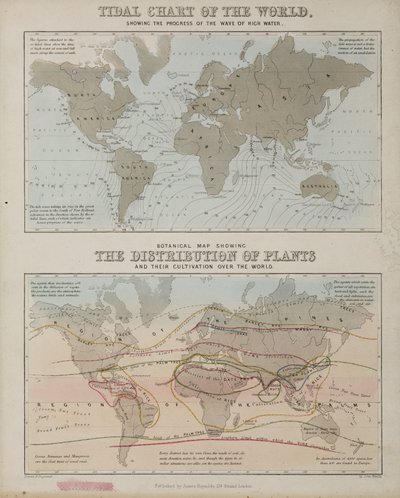 Přílivová mapa a mapa distribuce rostlin po celém světě, c 1850 od John Pardon