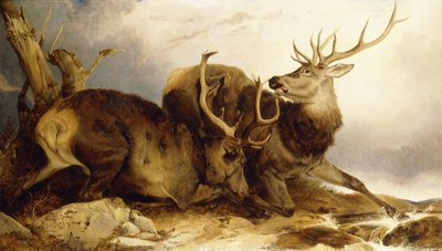 Boj, 1847 od Richard Ansdell