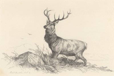 Sentinel od Richard Ansdell