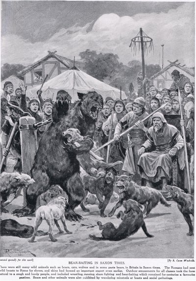 Medvědí návnady v saských dobách, z „Hutchisonova příběhu britského národa“, kolem roku 1920 od Richard Caton Woodville