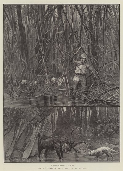 Lov losů nebo jelenů Sambhur na Cejlonu od Richard Caton Woodville junior