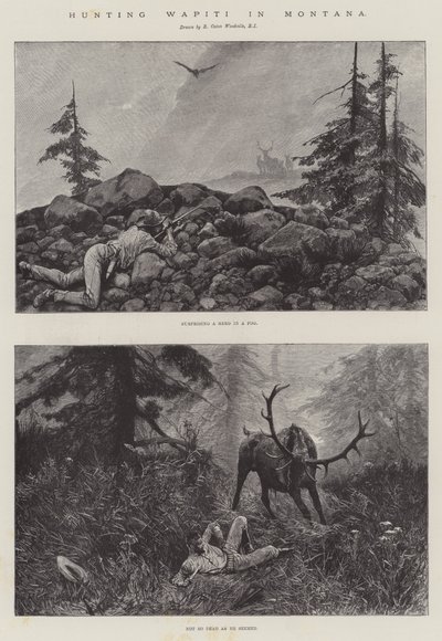 Lov wapiti v Montaně od Richard Caton Woodville junior