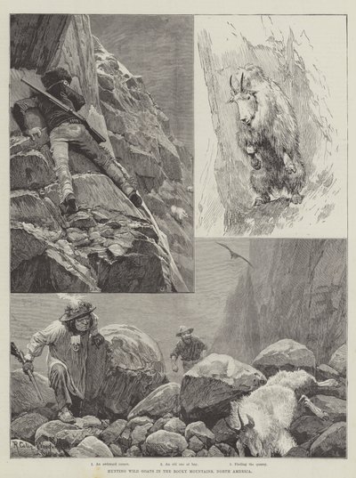 Lov divokých koz ve Skalistých horách v Severní Americe od Richard Caton Woodville junior