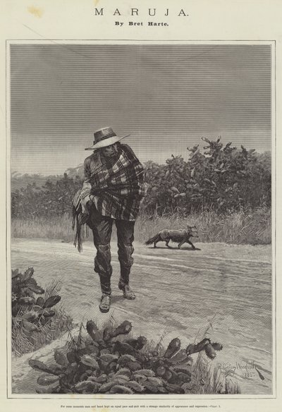 Maruja, Bret Harte od Richard Caton Woodville junior