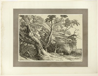 Krajina s velkými stromy, z prvního vydání Ukázek polyautografie od Richard Cooper II