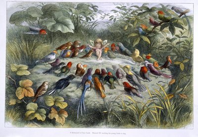 Elf a ptáci od Richard Doyle