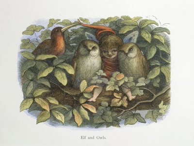Elf a sovy od Richard Doyle