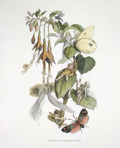 Hodování a zábava mezi fuschiemi od Richard Doyle