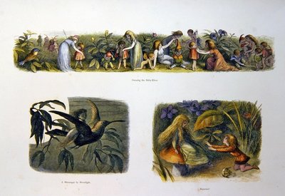 V zemi víl od Richard Doyle