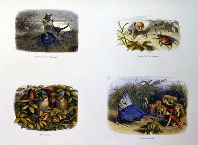 V Pohádkové zemi od Richard Doyle