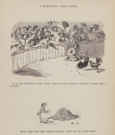Stránka z The American Tour of pánů Brown, Jones a Robinson (rytina) od Richard Doyle