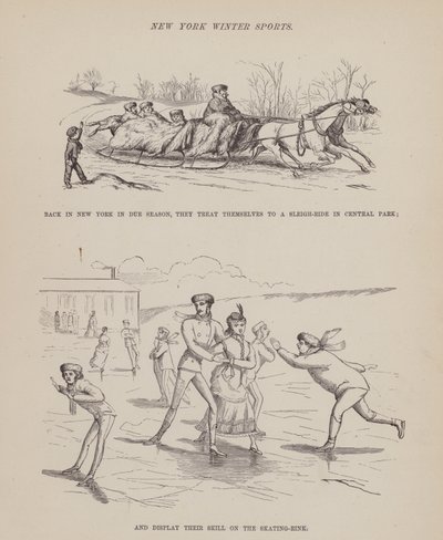 Stránka z The American Tour of pánů Brown, Jones a Robinson (rytina) od Richard Doyle