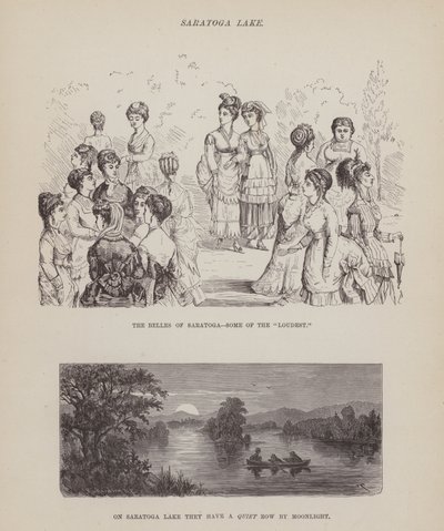 Stránka z The American Tour of pánů Brown, Jones a Robinson (rytina) od Richard Doyle