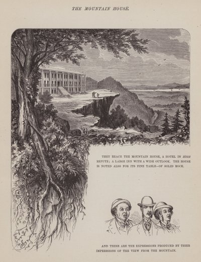 Stránka z The American Tour of pánů Brown, Jones a Robinson (rytina) od Richard Doyle