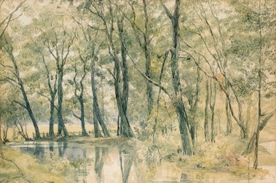 Studley Park, Yorkshire od Richard Doyle