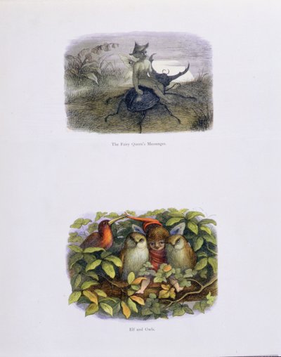 Posel královny víl a skřítek a sovy, ilustrace z knihy V říši pohádek: Williama Allinghama a Andrewa Langa: Série obrázků ze světa skřítků. od Richard Doyle