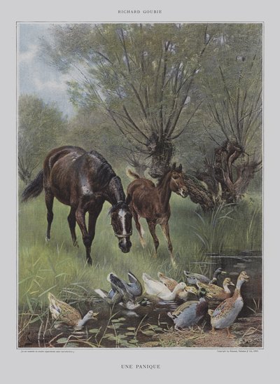 Panika od Richard Doyle