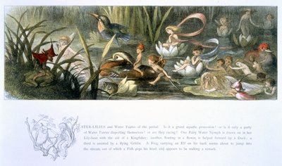 Lekníny a vodní víly, ilustrace z 