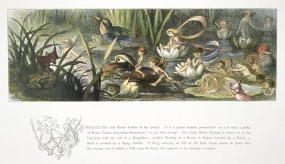Lekníny a vodní víly od Richard Doyle