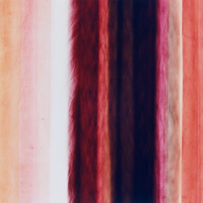 Stripe X, 2005 od Richard Green