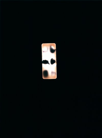 Bez názvu, 2004 (unikátní fotogram typu C) od Richard Green