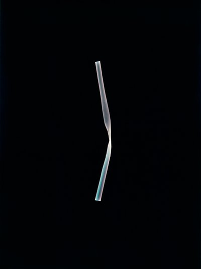 Bez názvu, 2004 (unikátní fotogram typu C) od Richard Green