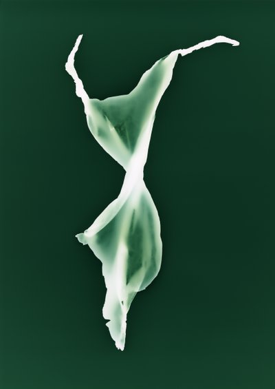 Bez názvu, 2004 od Richard Green