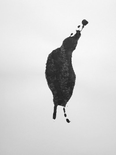 Bez názvu, 2009 (monotyp) od Richard Green