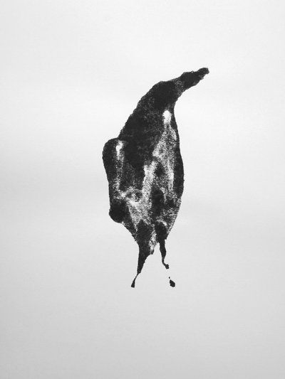 Bez názvu, 2009 (monotyp) od Richard Green
