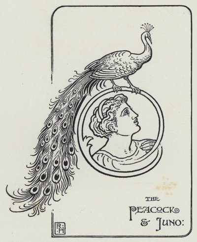 The Peacock And Juno (rytina) od Richard Heighway