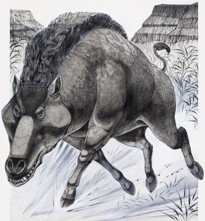 Daeodon (kvaš na papíře) od Richard Hook